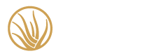 LBRI Convention 2026